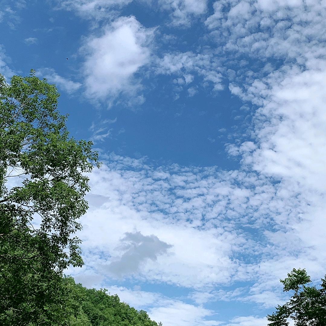 🍬乱七八糟生活号🌈