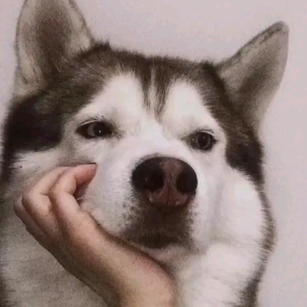 肆方似方亦是方