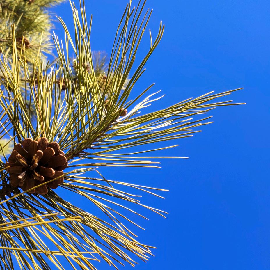 🌈社会主义接班R