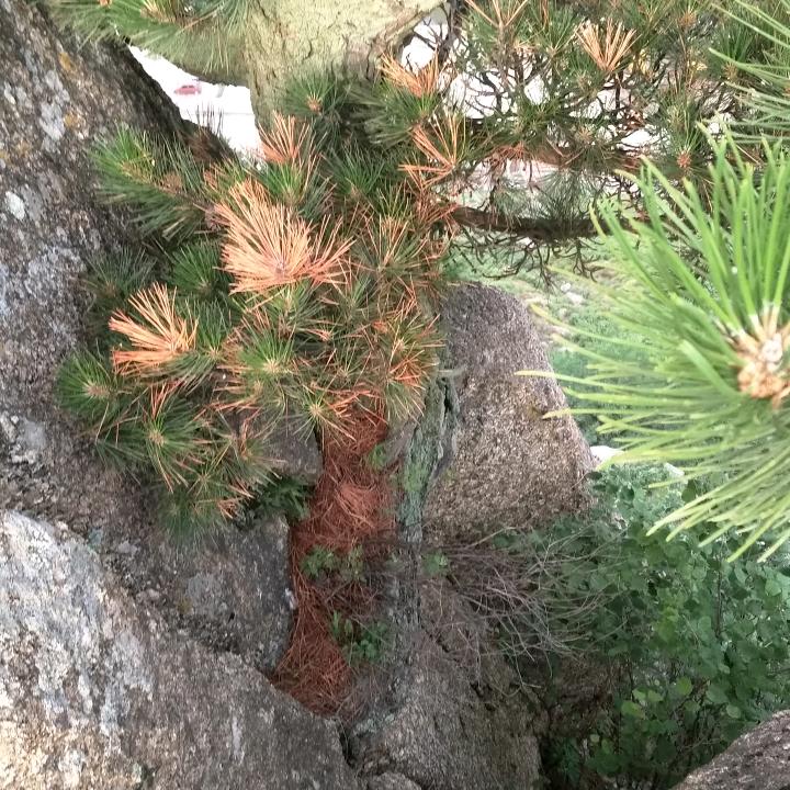 独自一个人陶醉