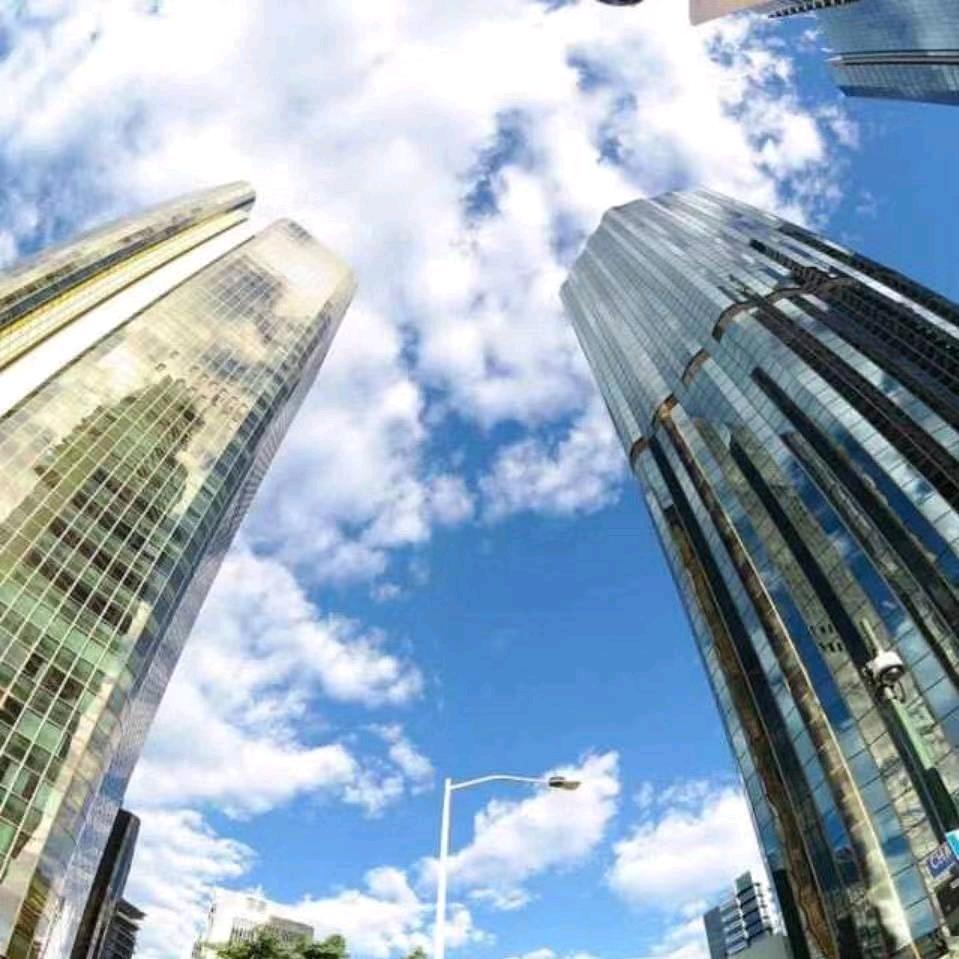 网中王鱼饵王明卫