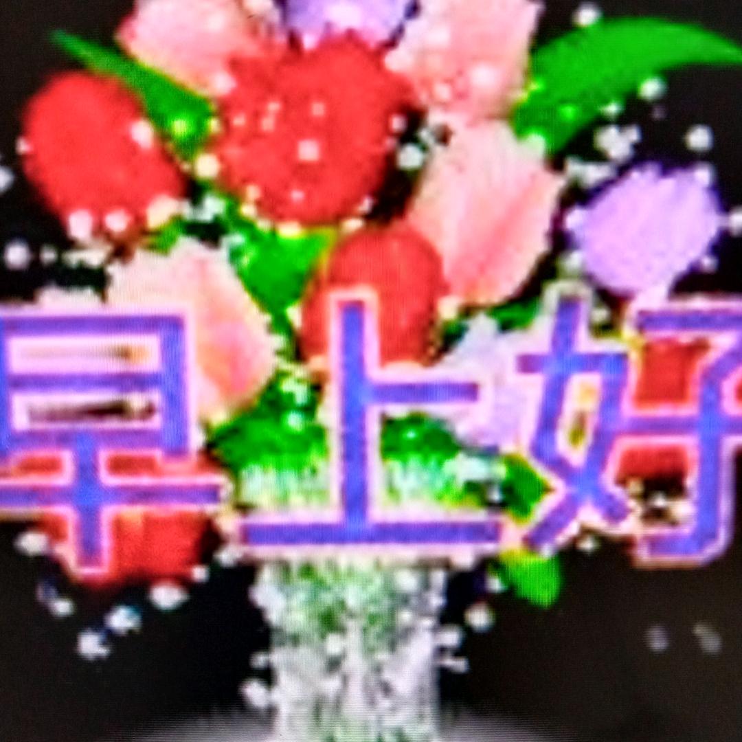 春暧花开，拒绝丝聊