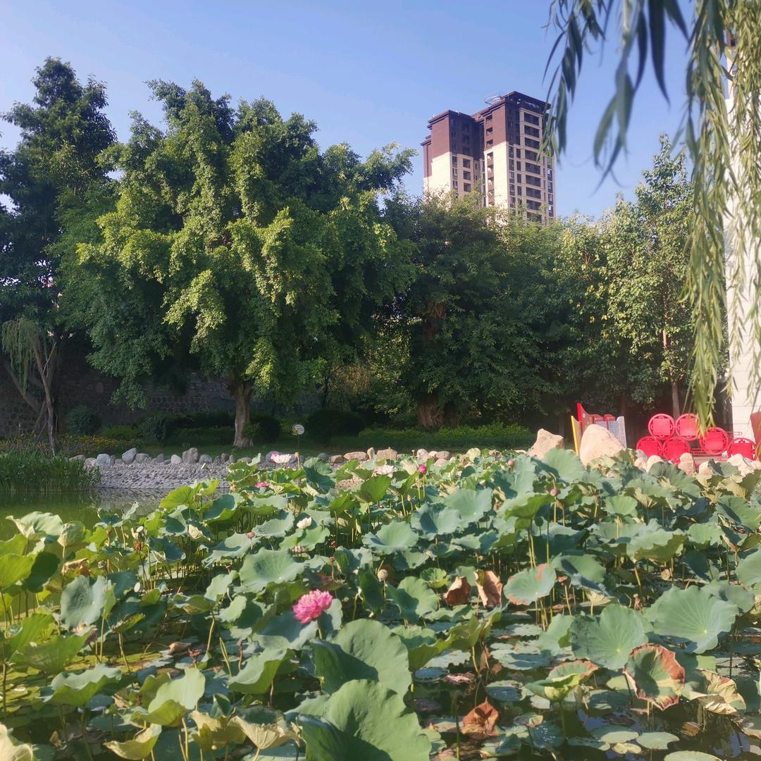 攀枝花房产汪汪姐