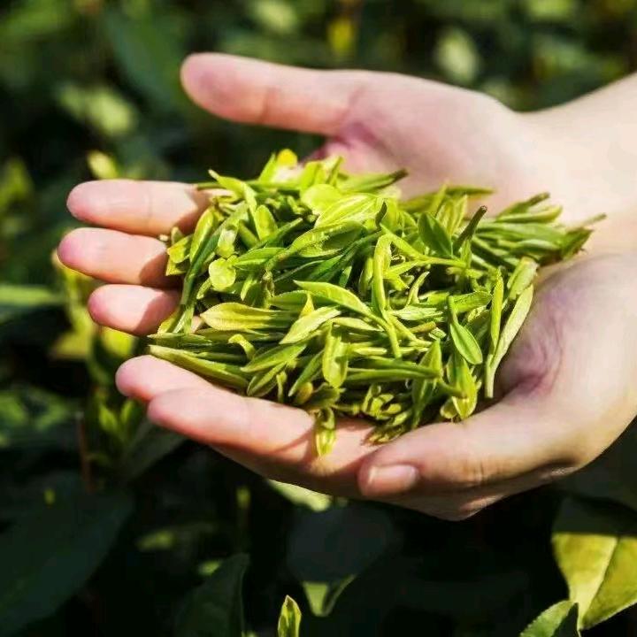 艳姐茶舍