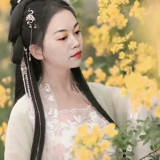 满艺窗帘布艺