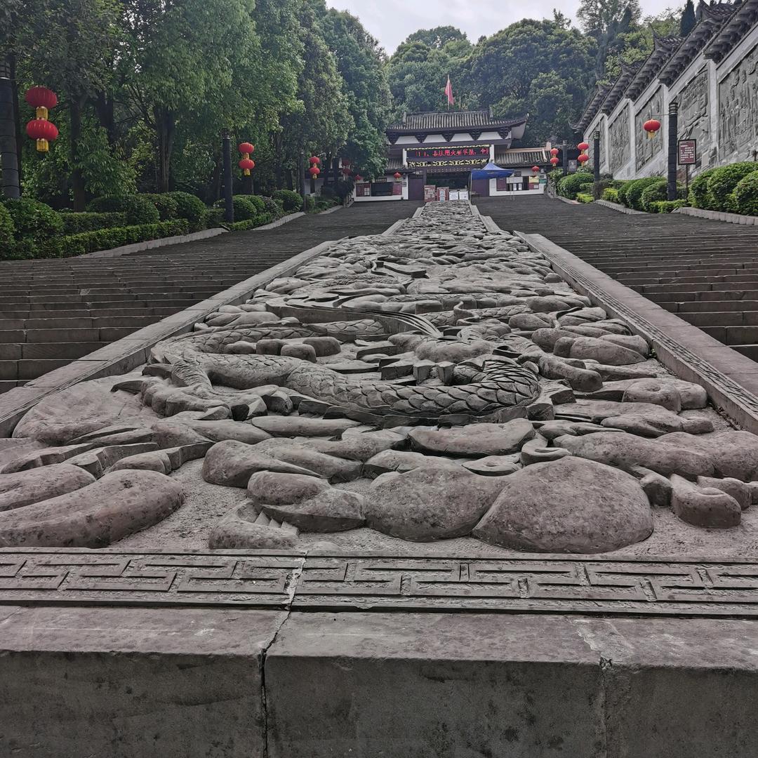 蓝眼泪