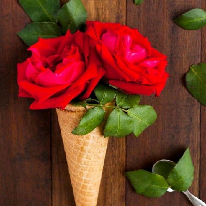 聆听自然  万物皆有情