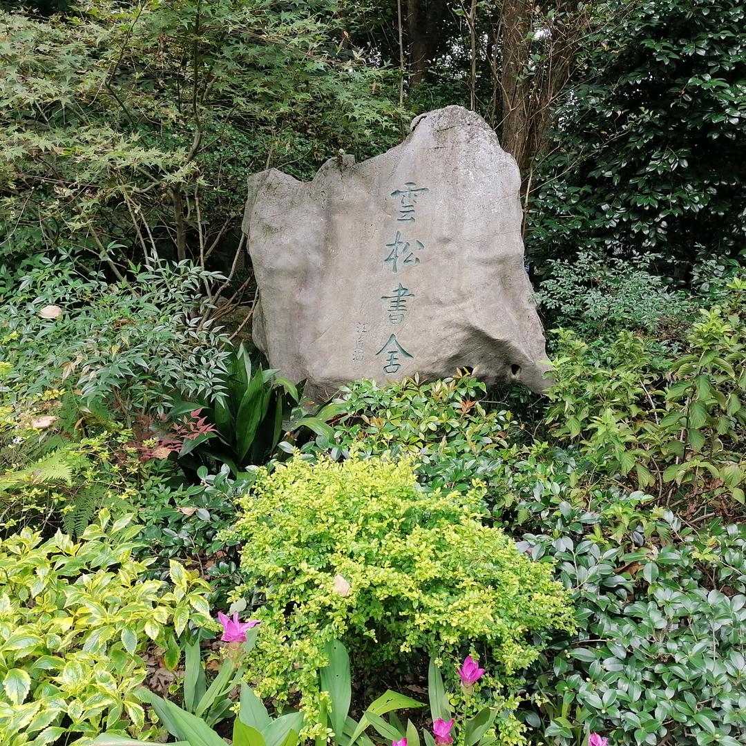 因为明天会更好