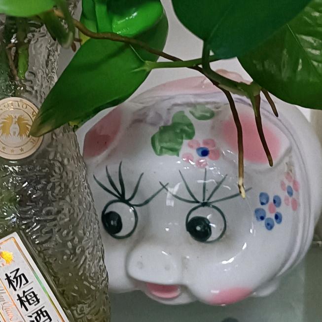 别样幸福