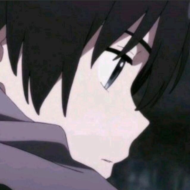 輕鴻—减脂版