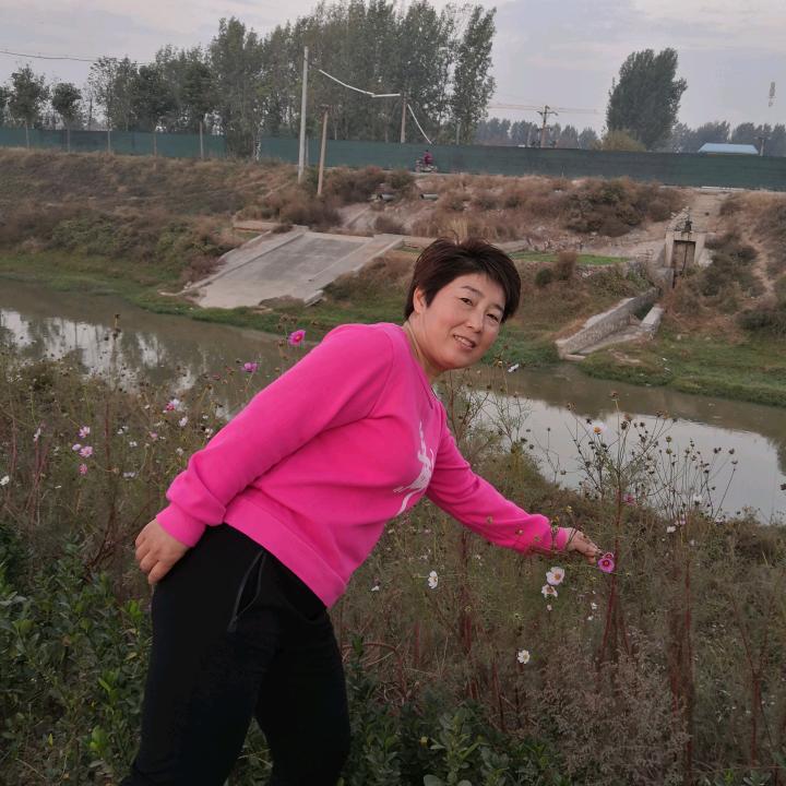 四季春绿植花卉严选