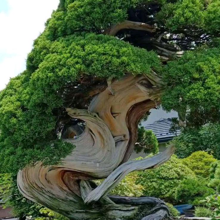 京景园林场