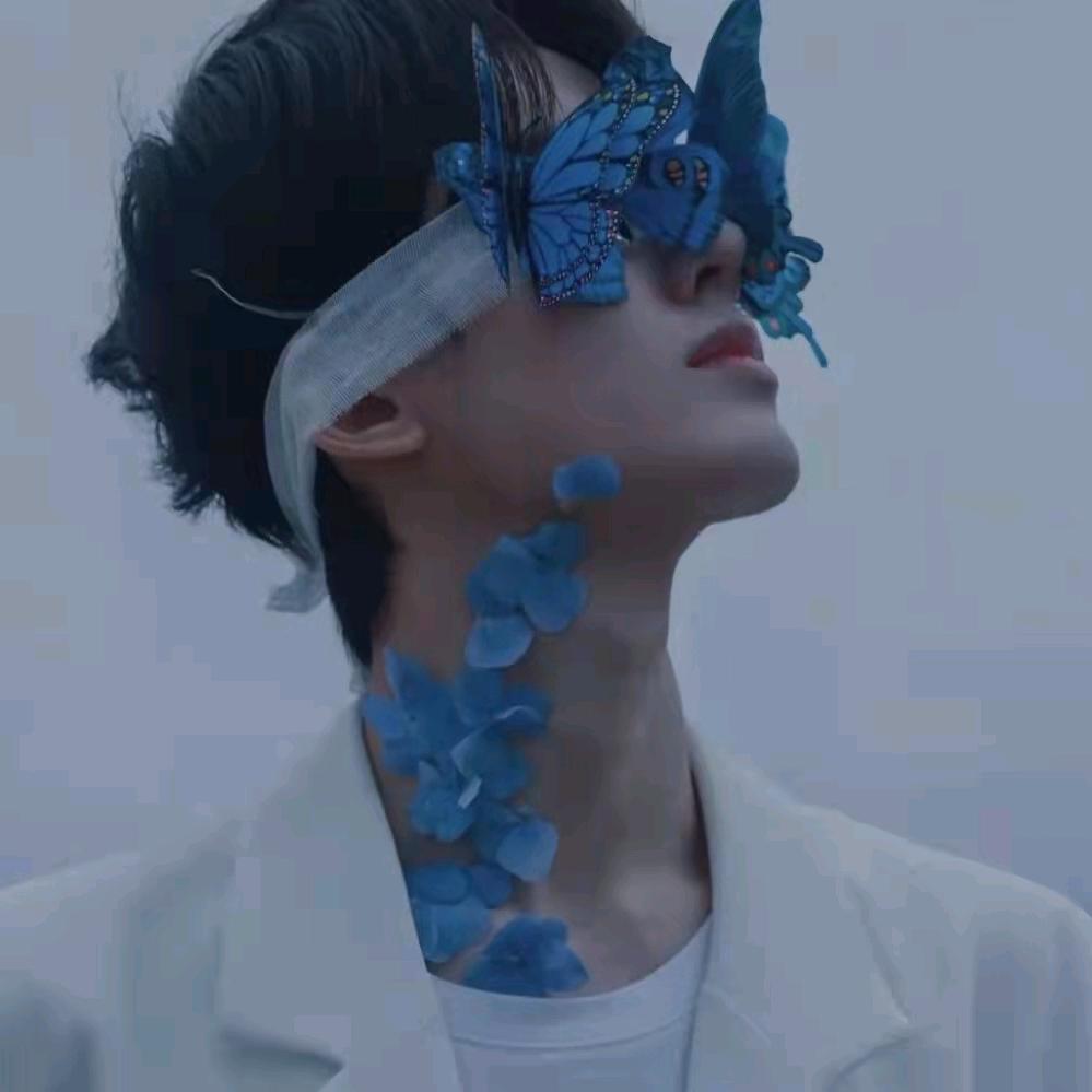 菜菜🦋