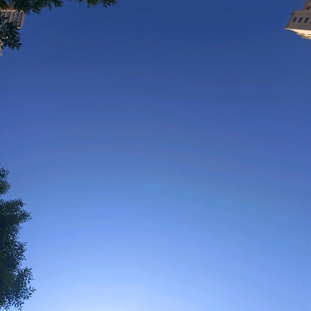 骑着羊放马