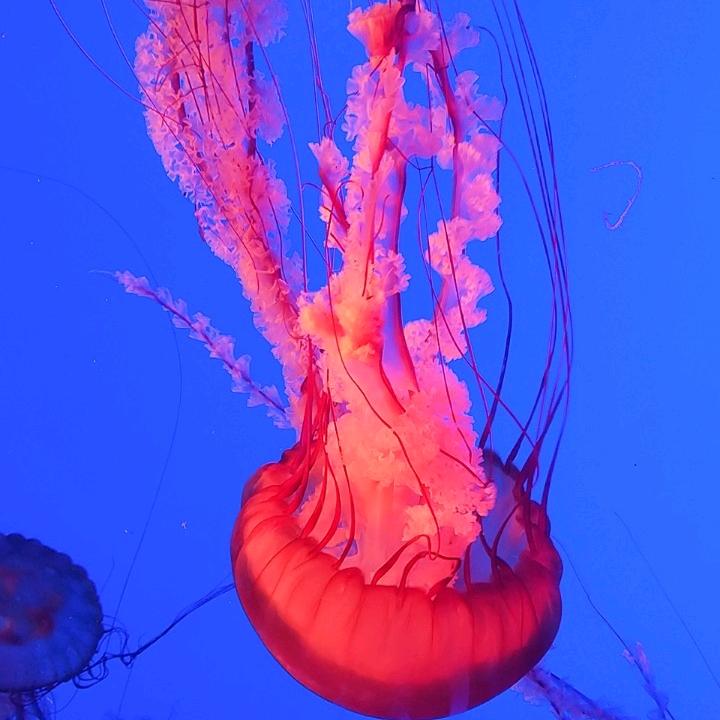 润 泽