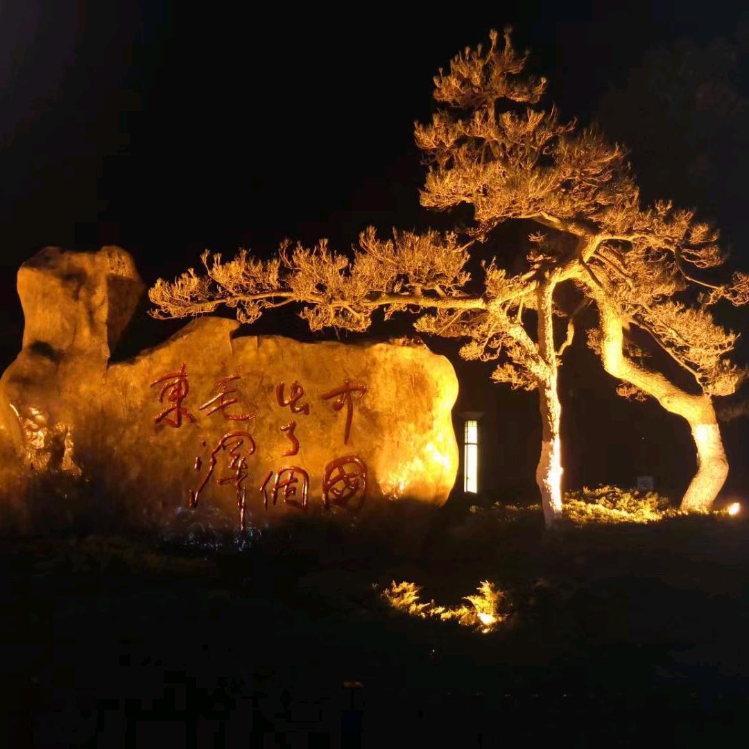 A风中的百合