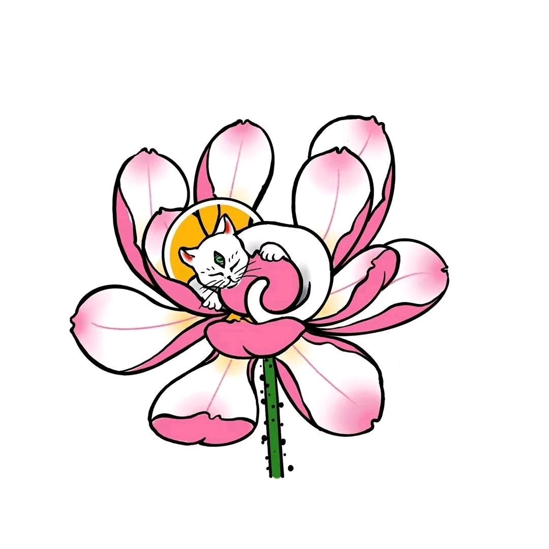 🌸🌸毛小毛🌸🌸