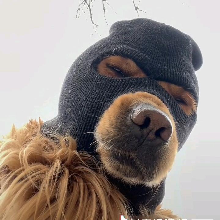 洗灵人