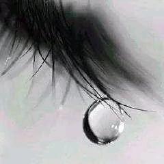 ꕥຼ红颜易老᭄࿐