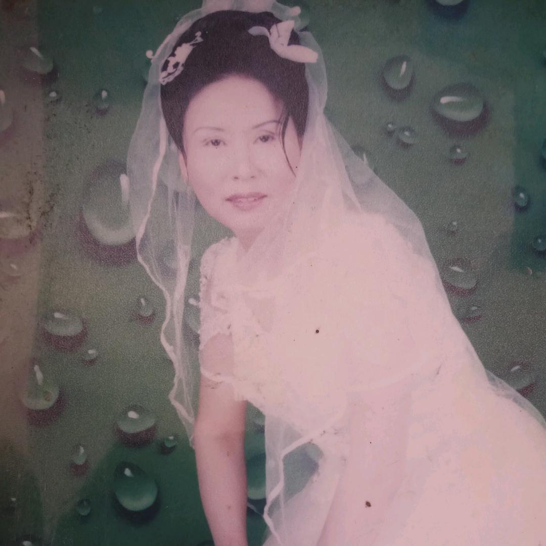 淑珍