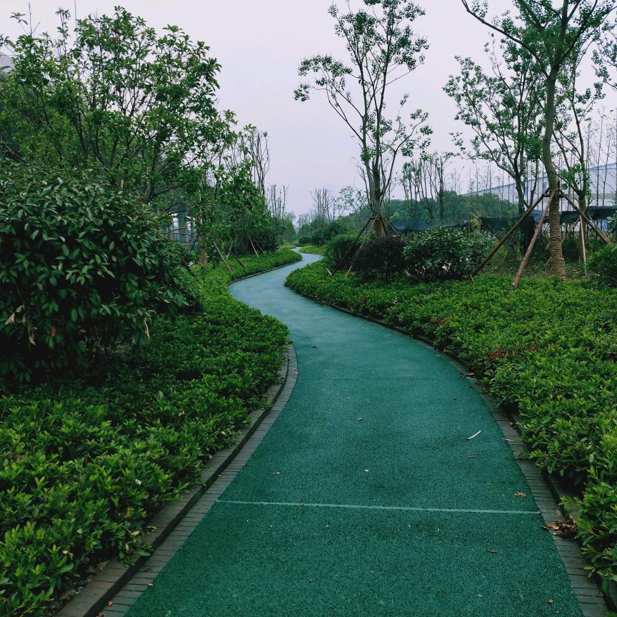 🍃✨侠影萍踪🌙🌱