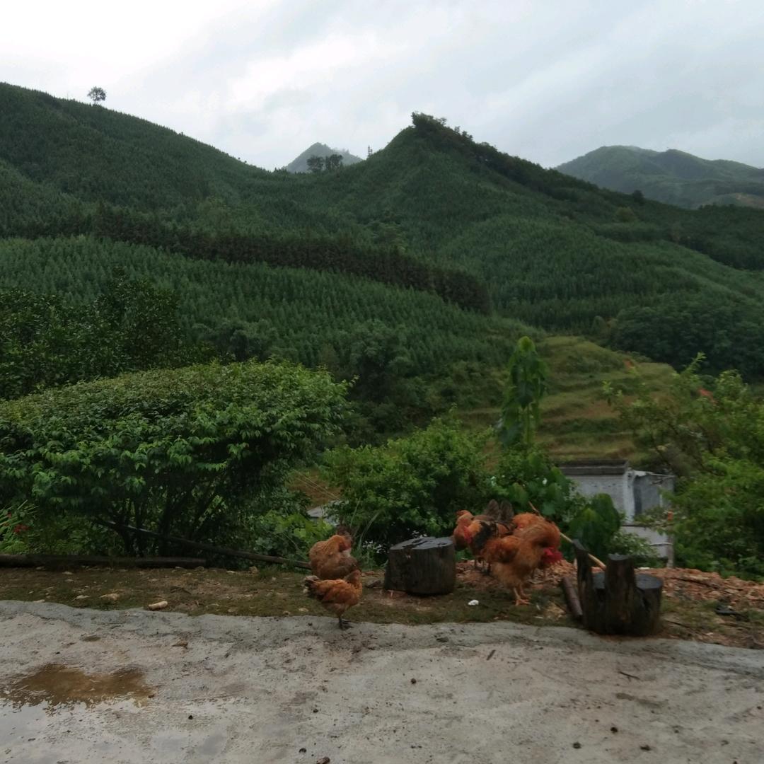 天天开心