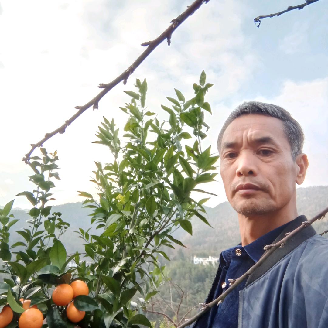 黄桃宝宝