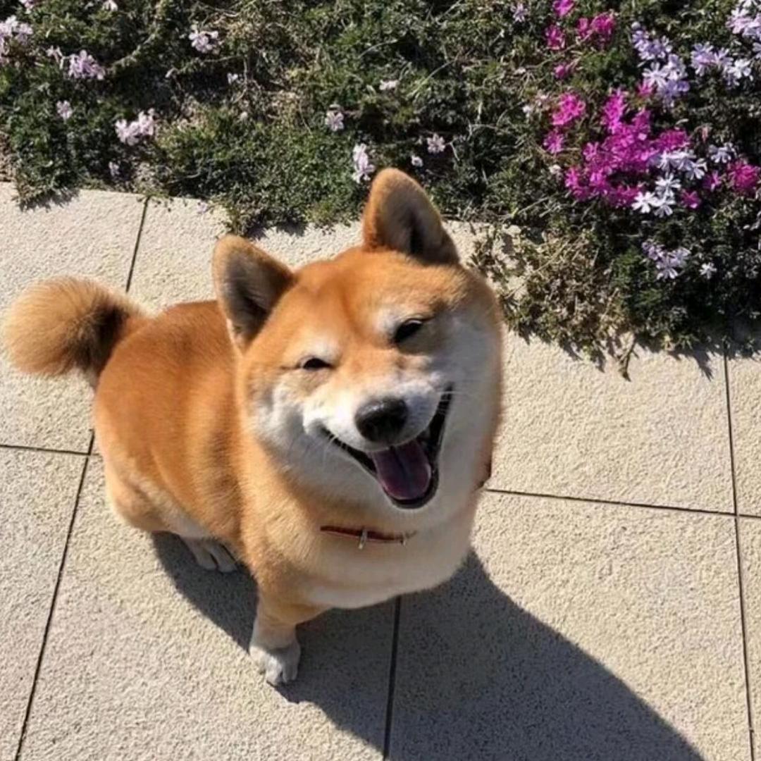 王辟邪