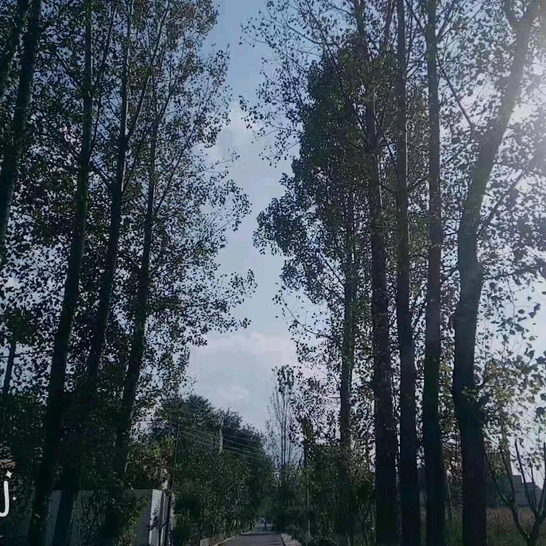 爱你一生
