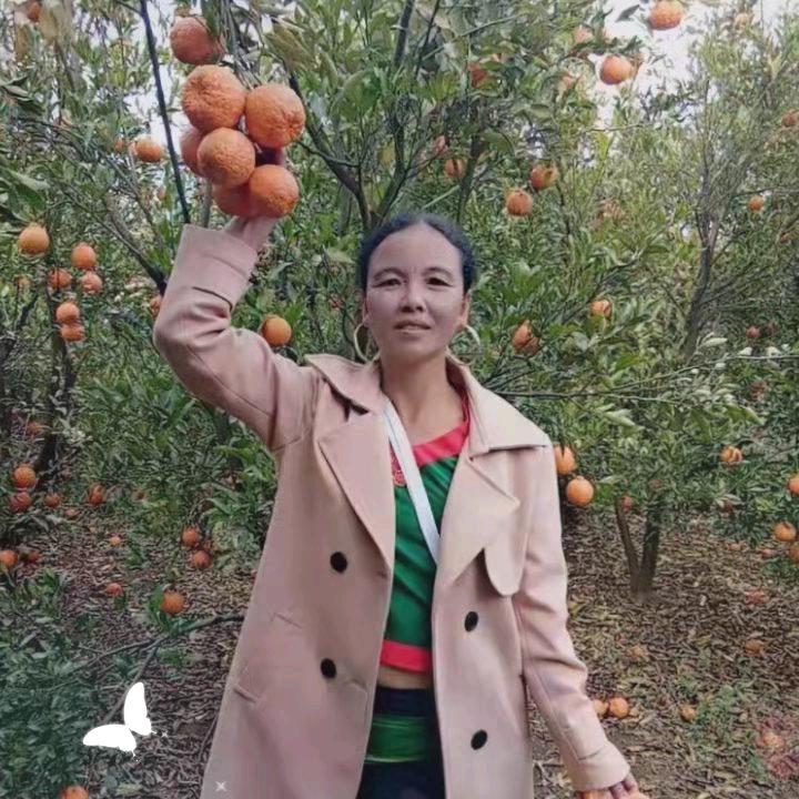 田玉块