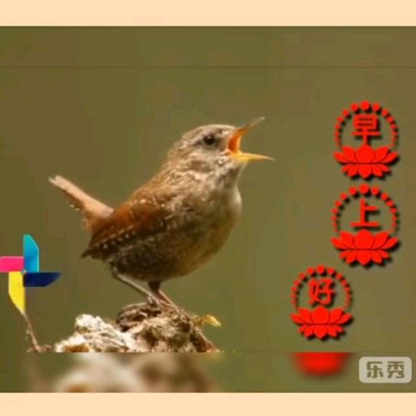 过客2826