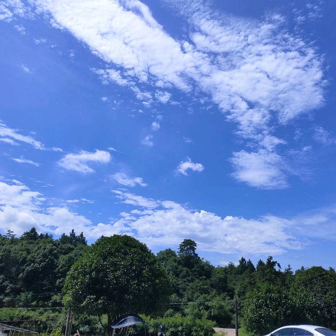 勇姐