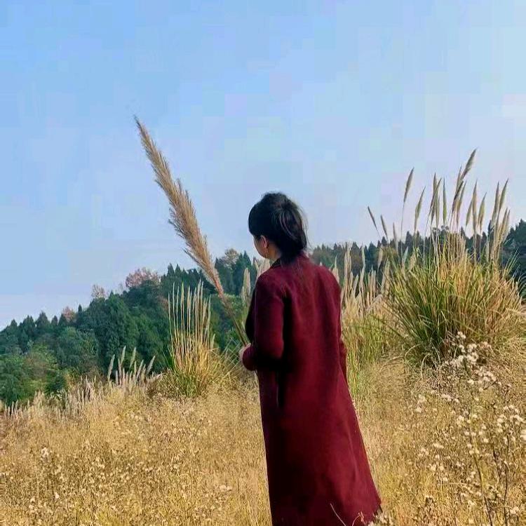 思前想后(拒绝私聊）