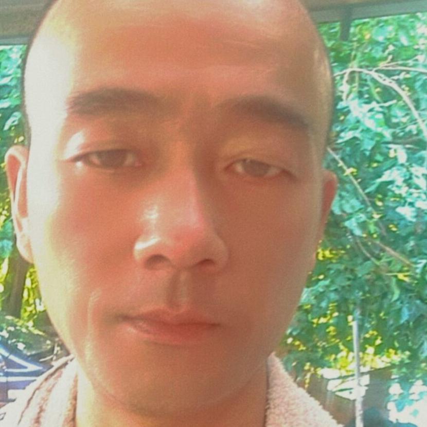 金弹子盆景老王