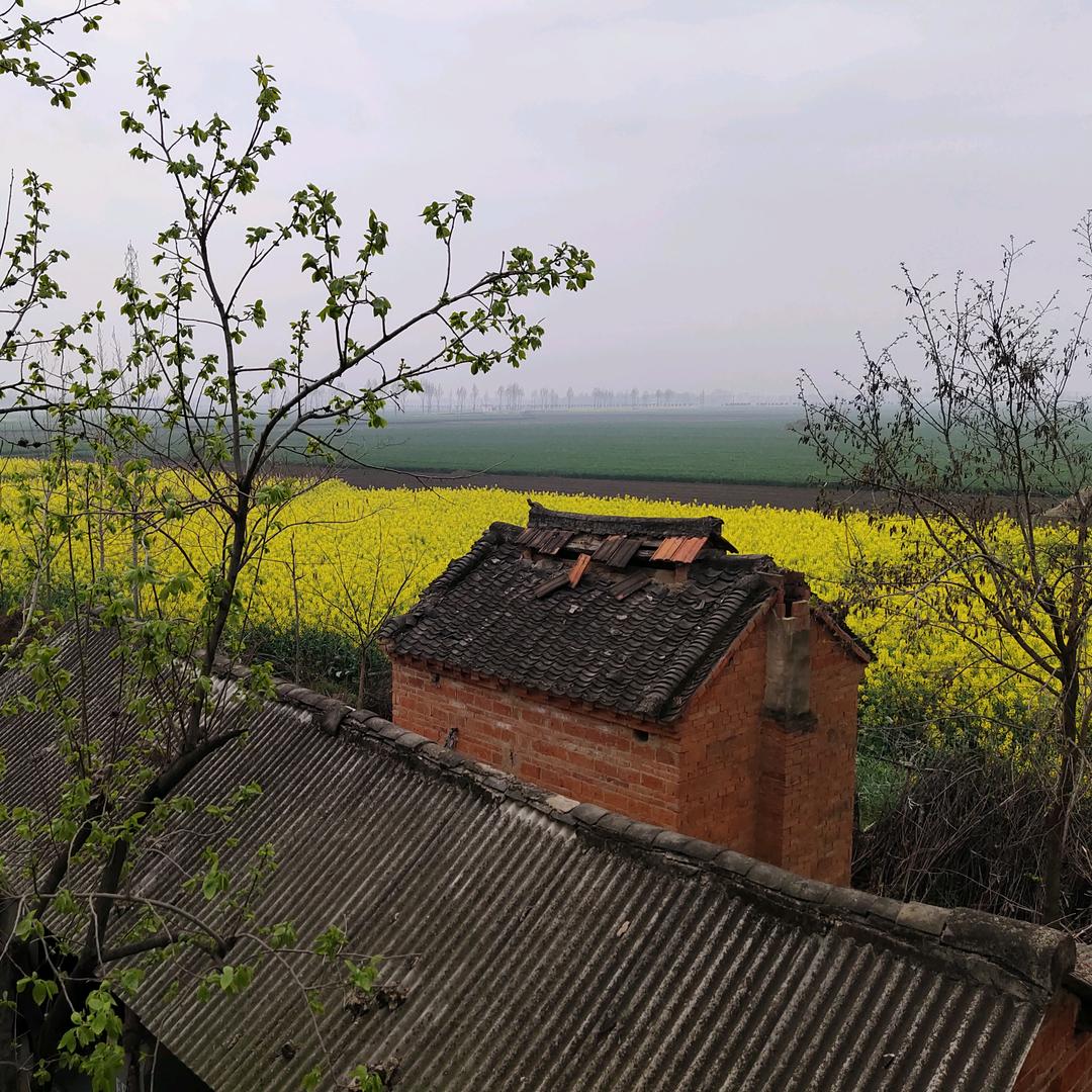 乡村飒姐（河南邓州）