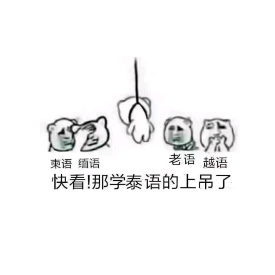 泰翻君