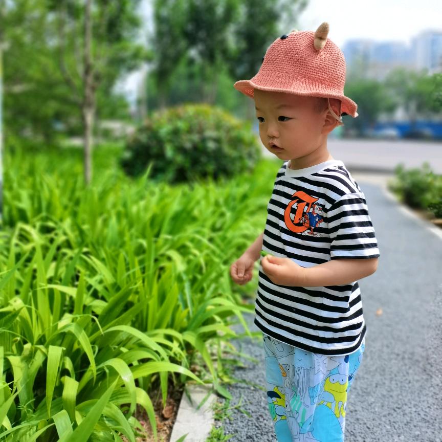 专宠你一人