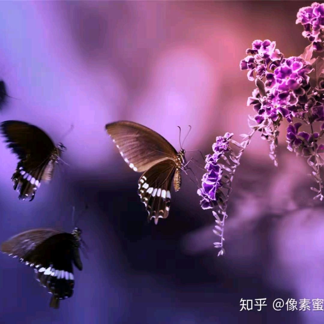 天高云淡