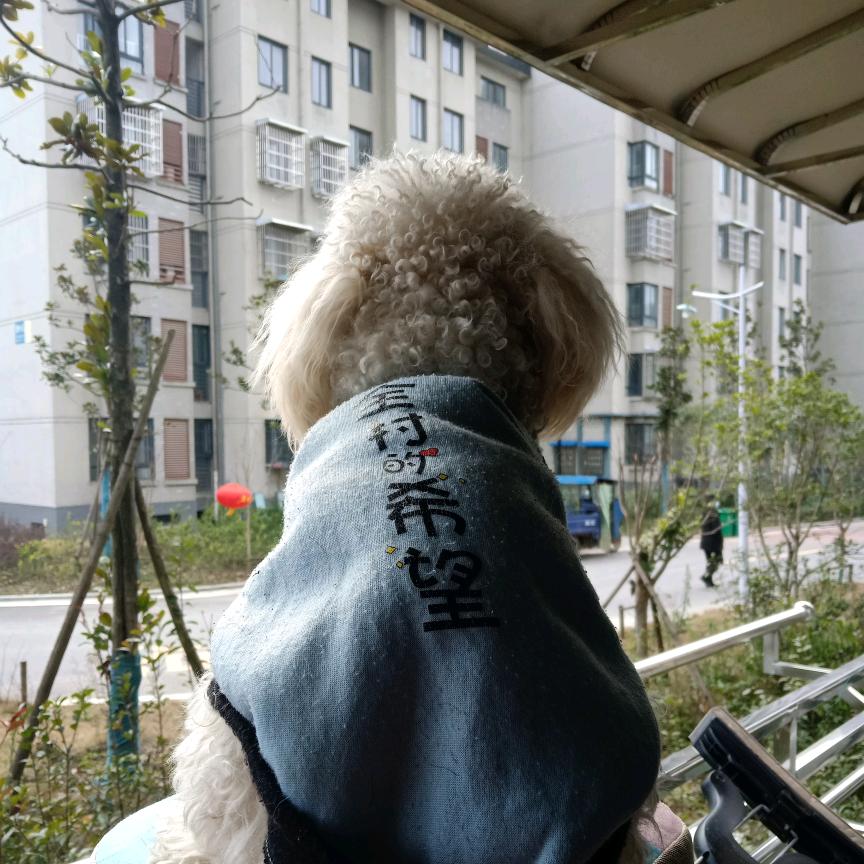 风和日暖