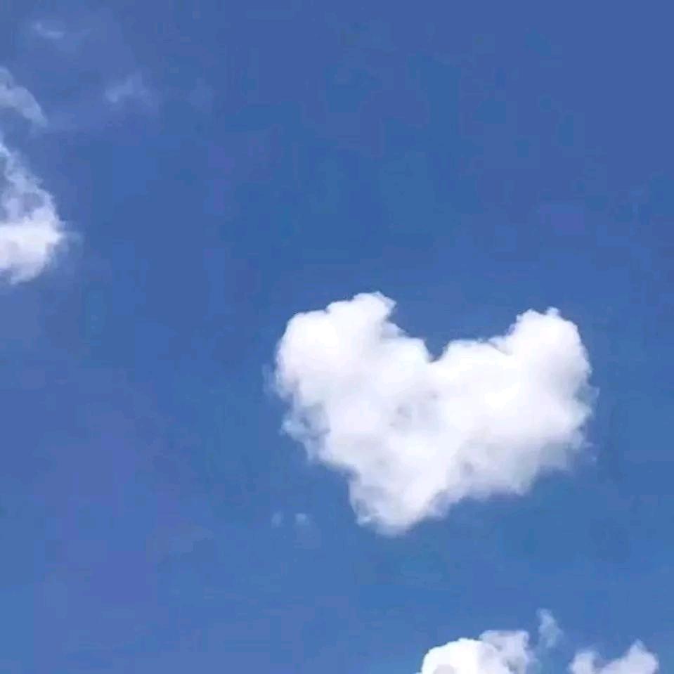 悟
