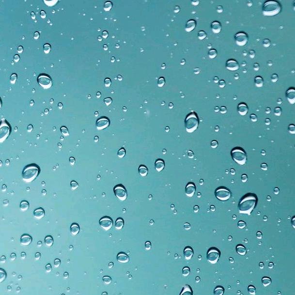 大王叫我来巡山