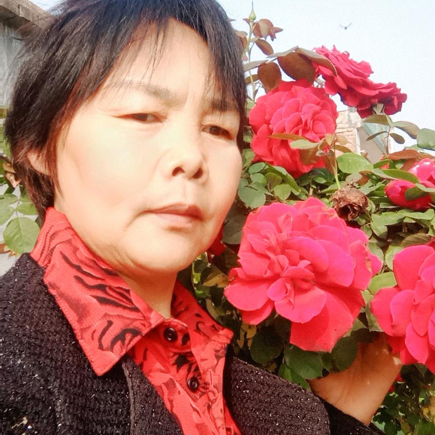 杨连