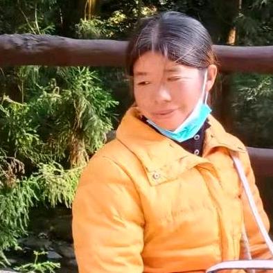 凤