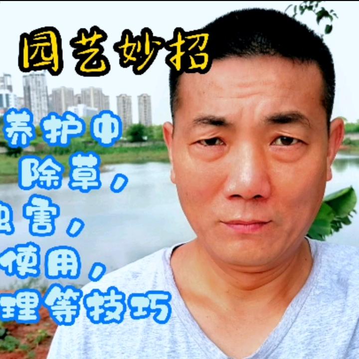 飘逸