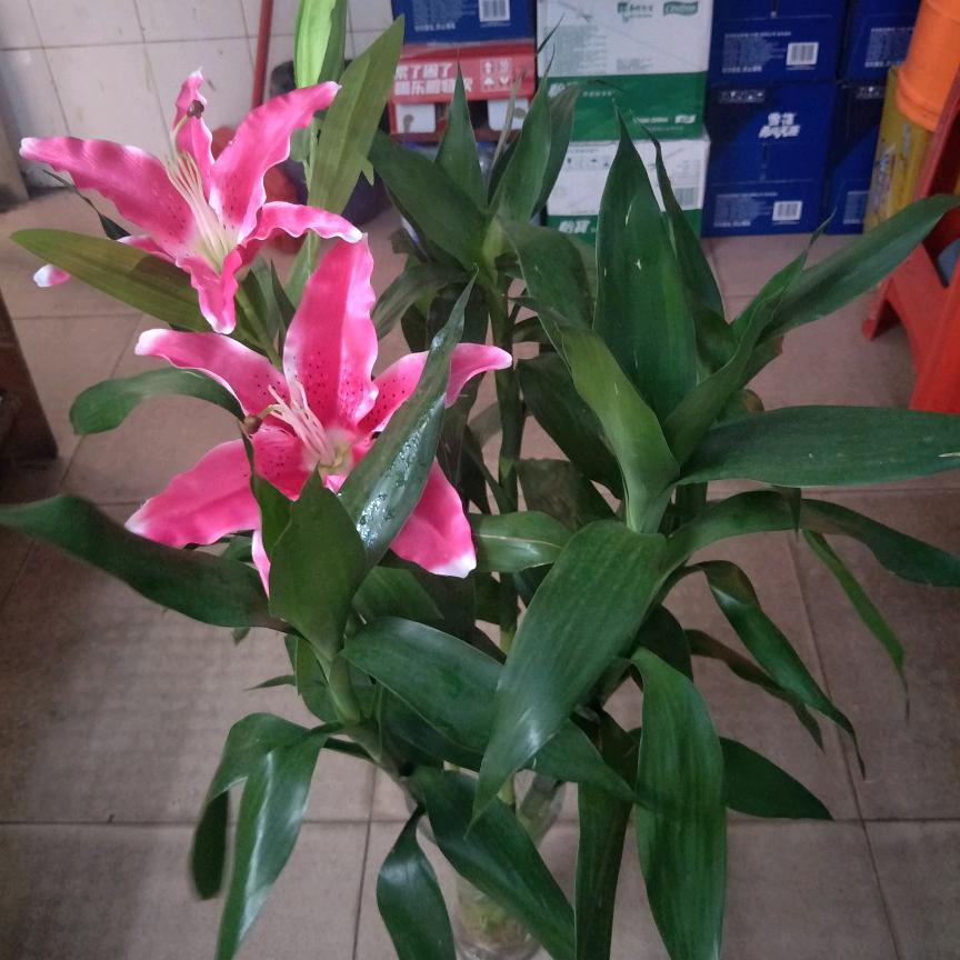 我爱我家🌽⁸⁵⁸⁷