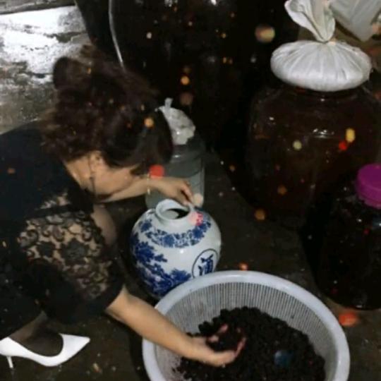 誓去的诺言