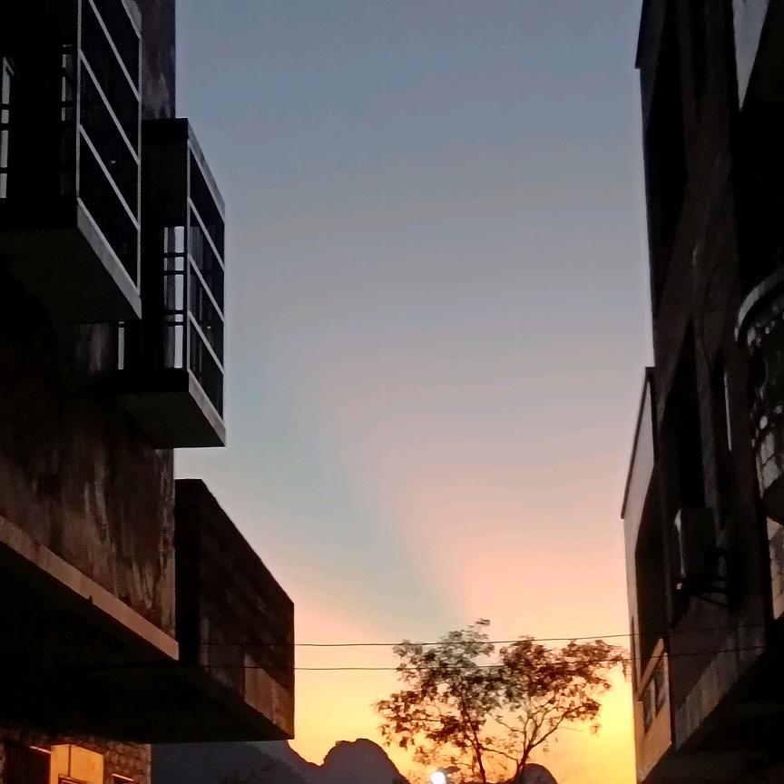 黄花哥