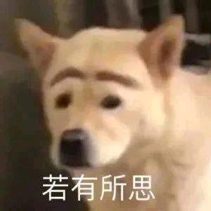 哈哈哈哈哈哈😄