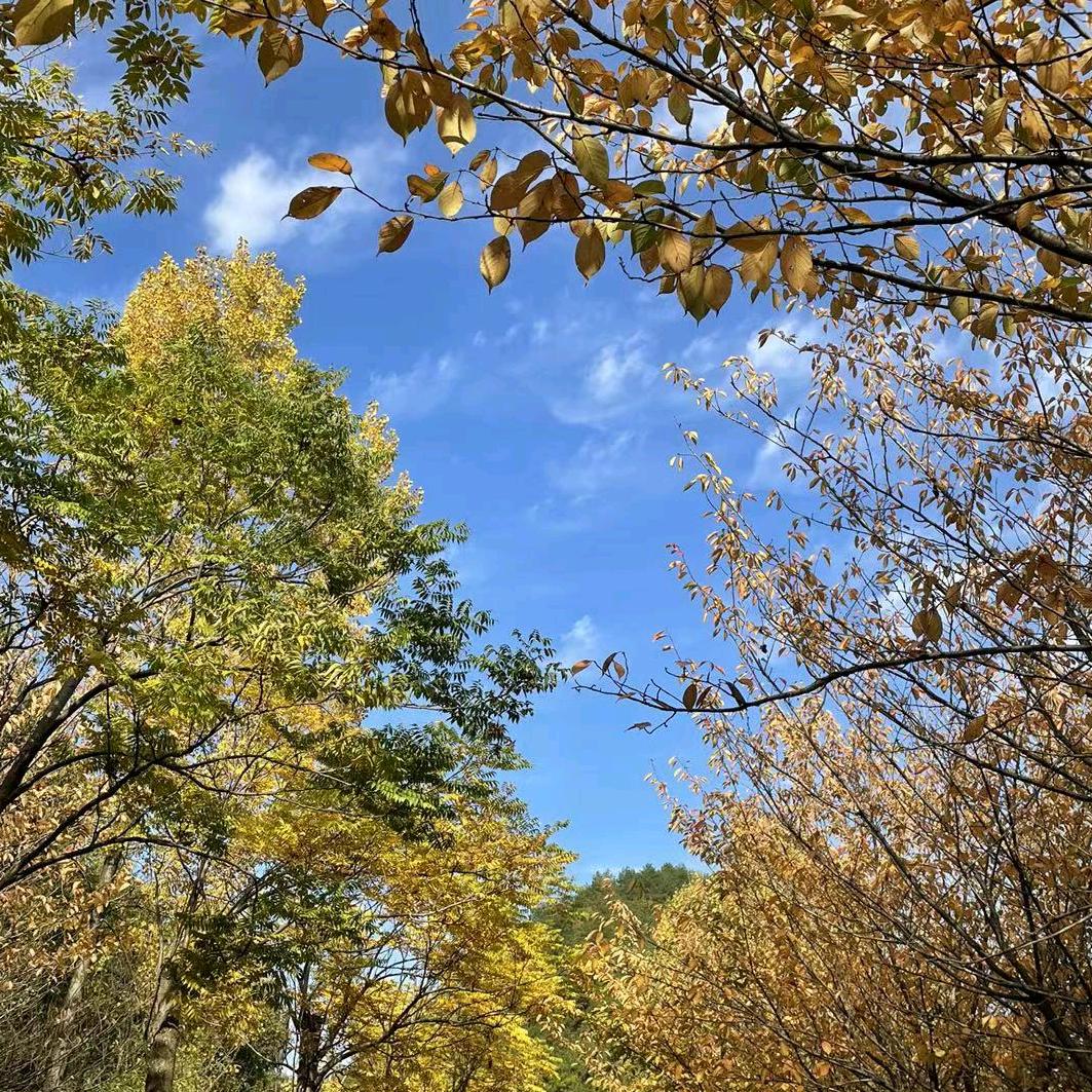 。！。！！！。1、