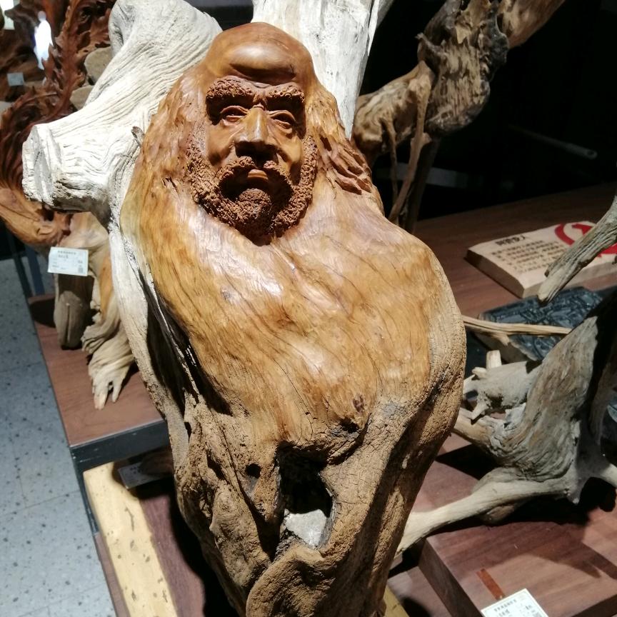 小苏